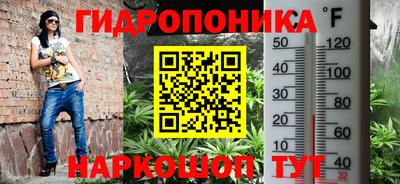 прущий лед Гусев