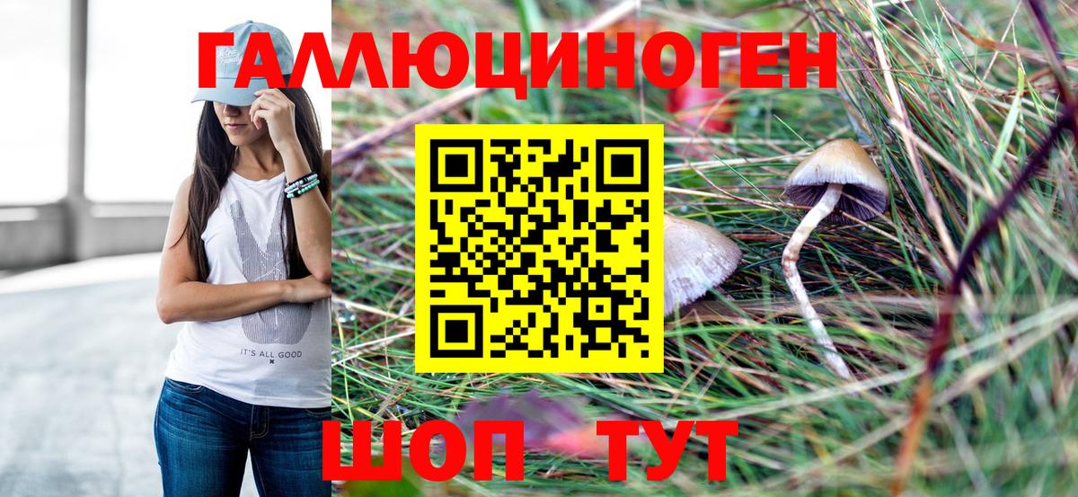 Галлюциногенные грибы GOLDEN TEACHER  Вход с VPN  Электросталь 