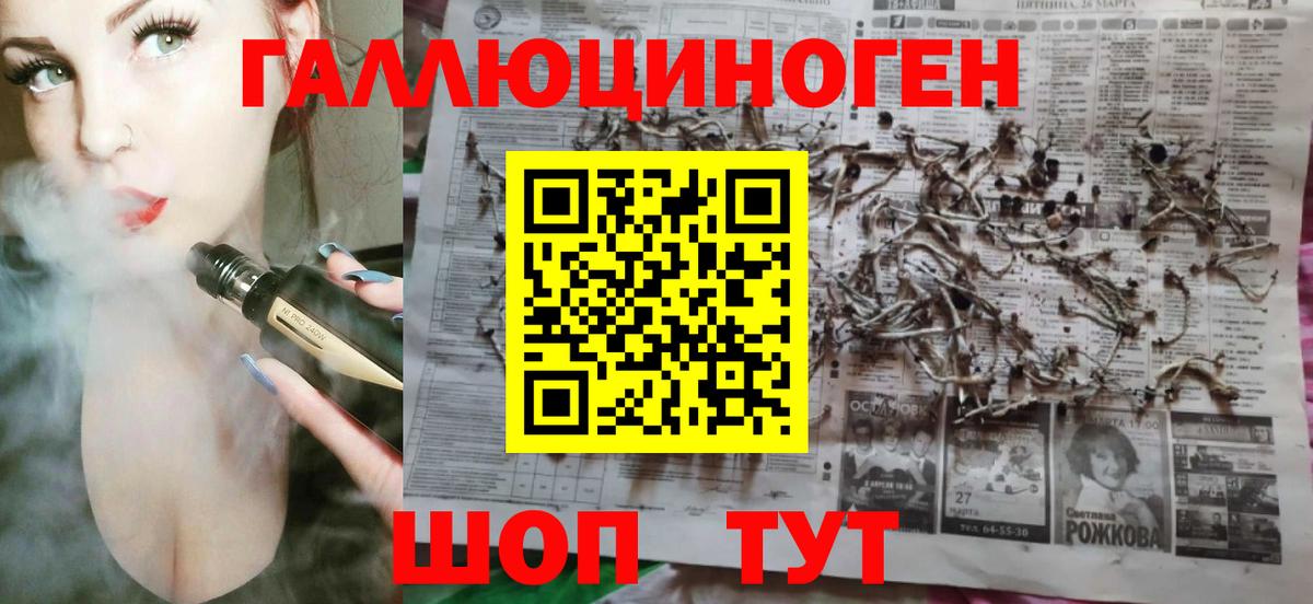 Псилоцибиновые грибы Psilocybine cubensis Электросталь